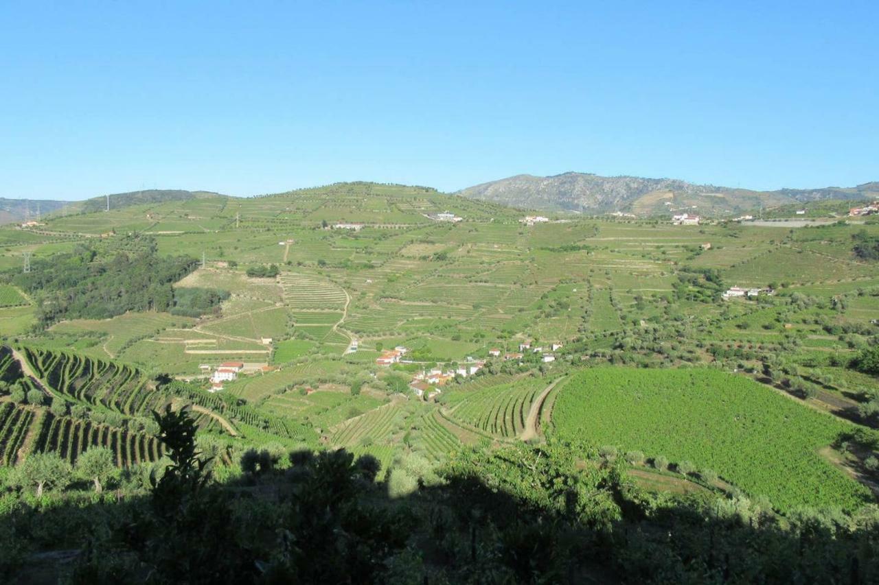 Quinta Das Murtinheiras لاميغو المظهر الخارجي الصورة
